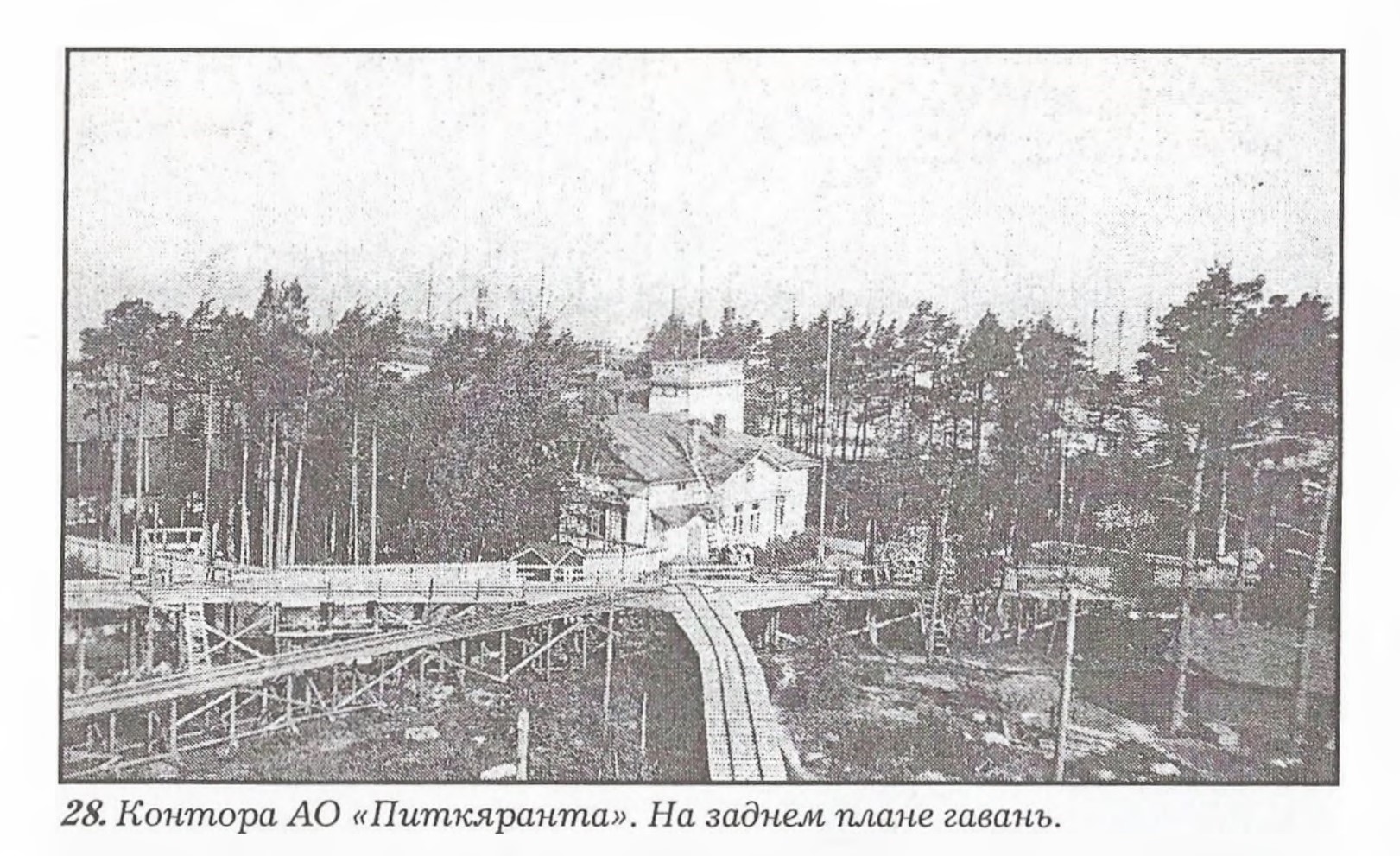 Безымянный.jpg