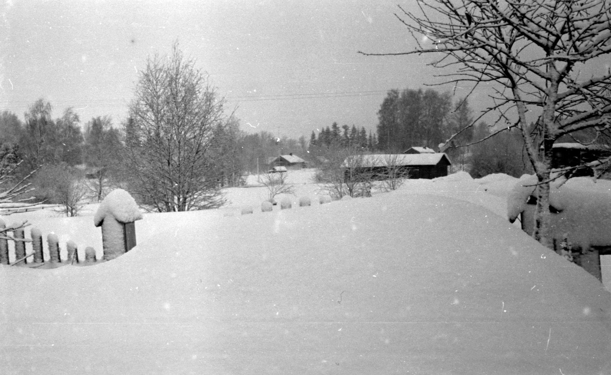 Зеленогорск54_1.JPG