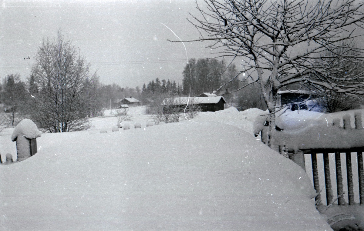 Зеленогорск54_2.JPG