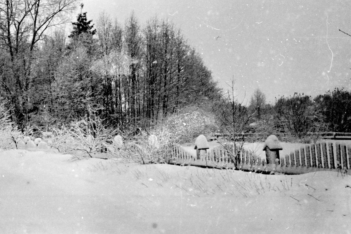 Зеленогорск54_3.JPG