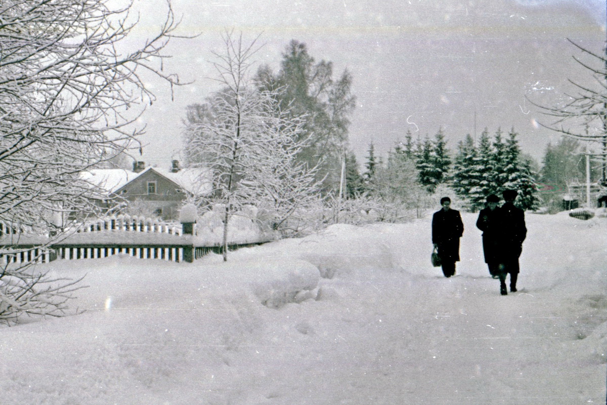 Зеленогорск54_5.JPG