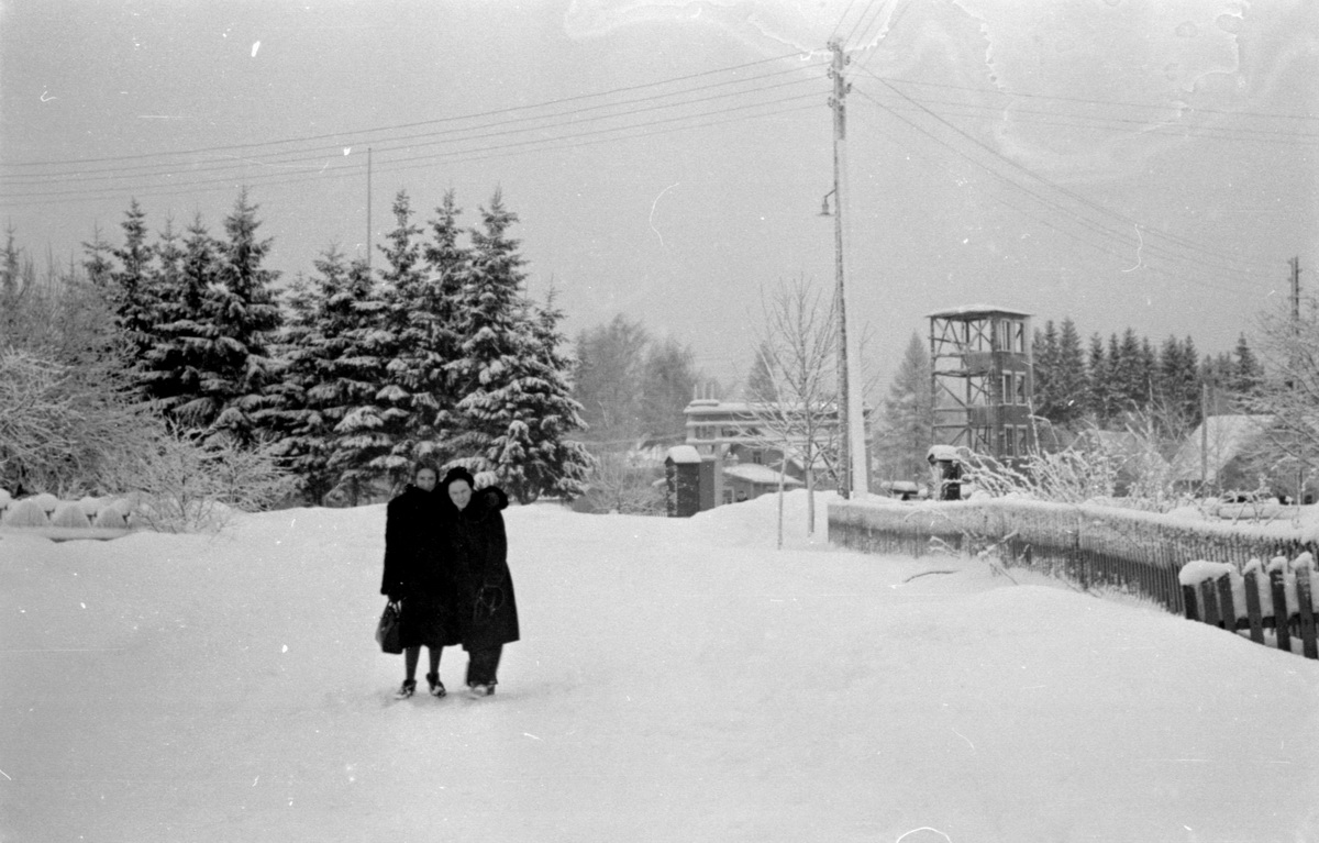 Зеленогорск54_8.JPG