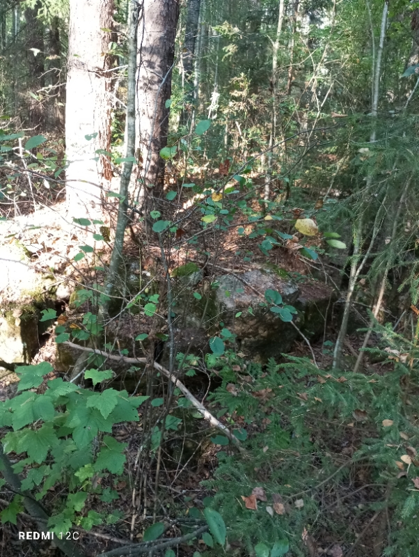 Resizer_17275362110457.jpeg