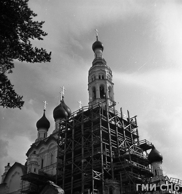 307694_00000_osn_001.jpg