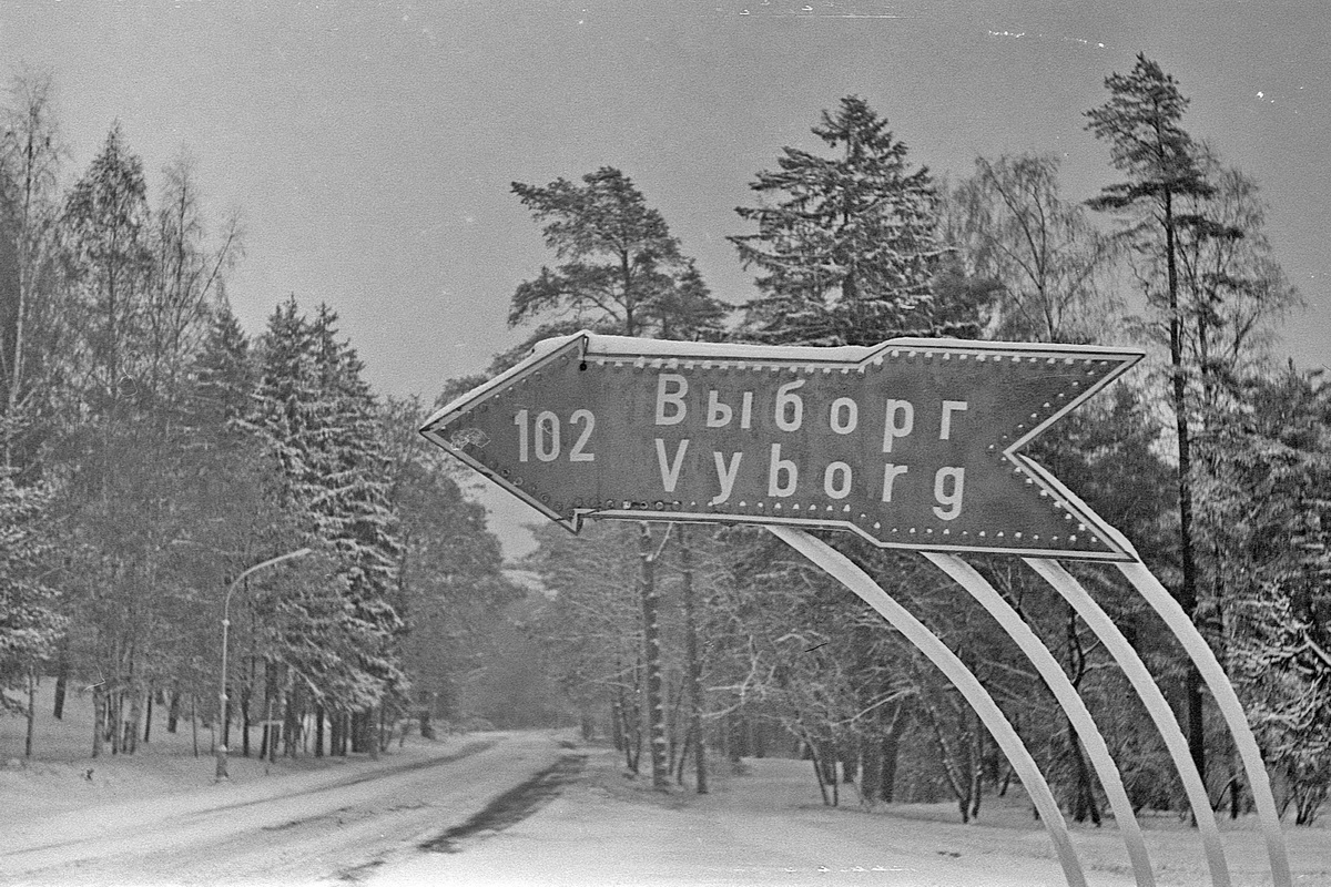 Zelenogorsk_3.JPG