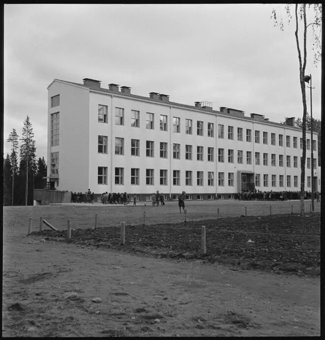 enso-uusi-kk-2.jpg