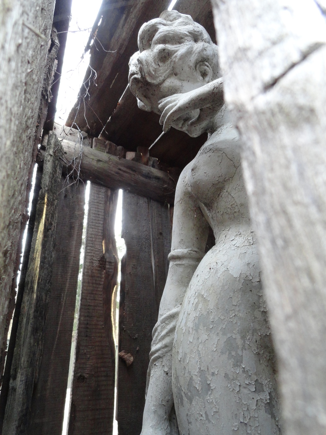 дача Лемпинена скульптура в ящике DSC01592.JPG