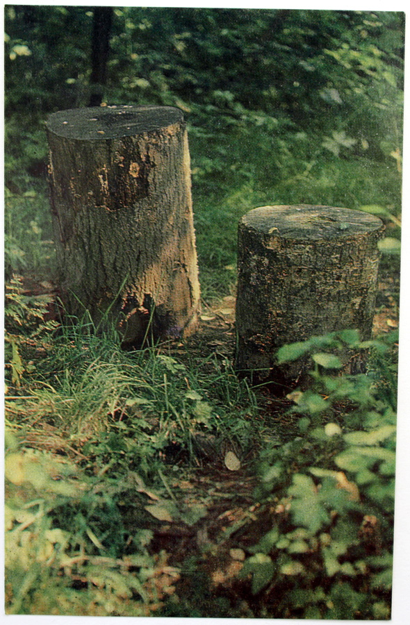 sm5869.jpg