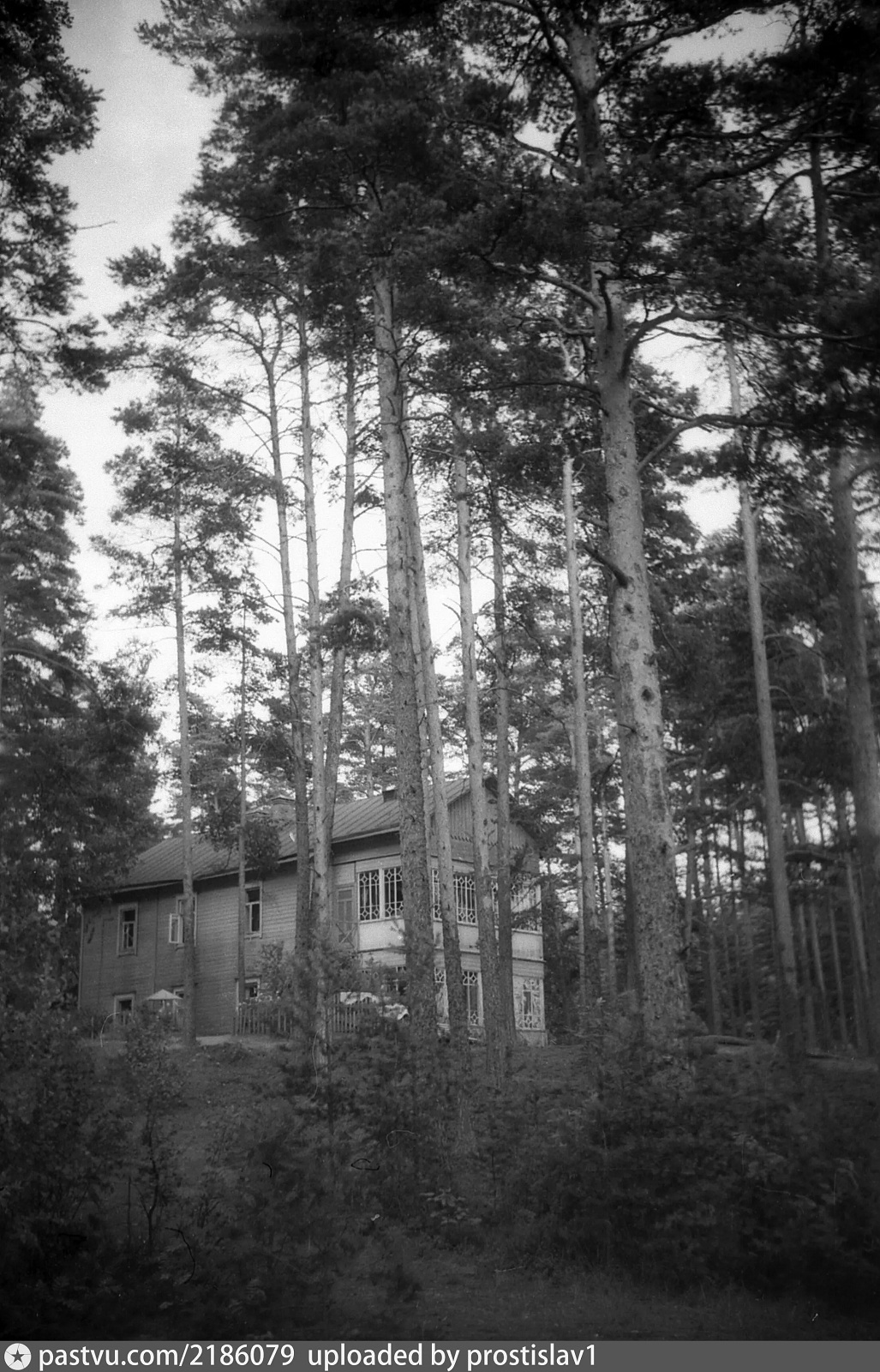 Лепоранта 5-654 1962 1-.jpg