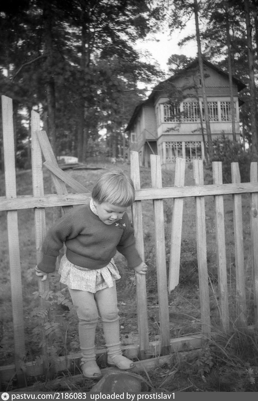 Лепоранта 5-654 1962 2-.jpg