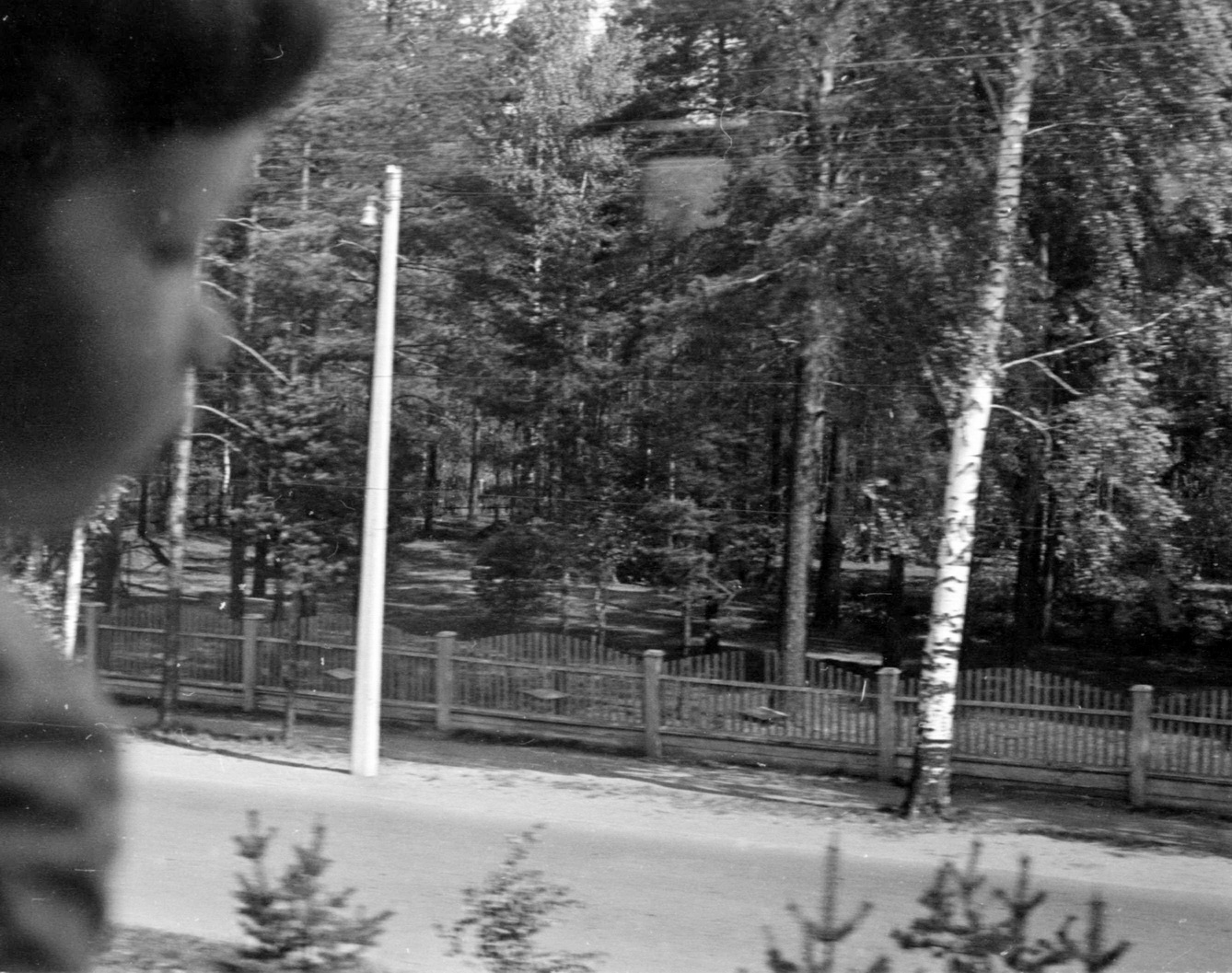 ГГГ_5.JPG