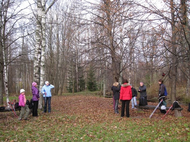 Хвойная Серенада-6-сборы в путь дальше.jpg
