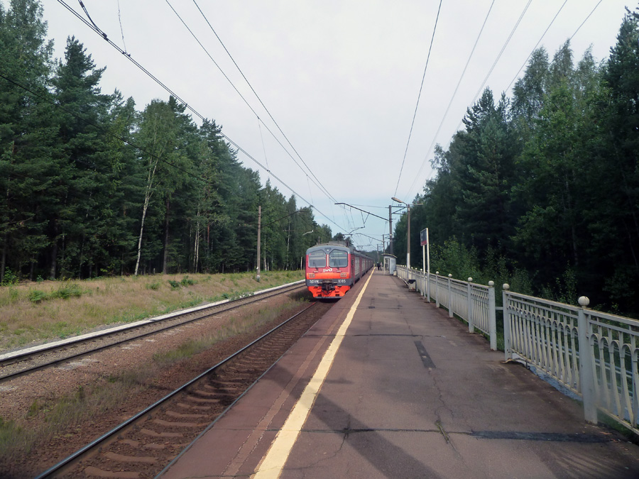 P1310031.jpg