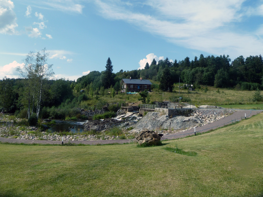 P1310131.jpg