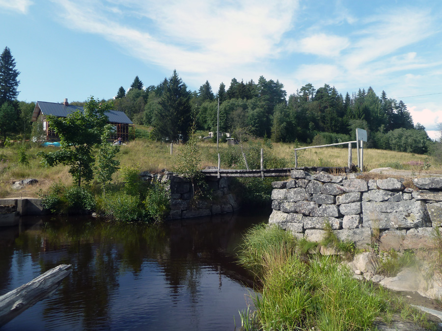 P1310137.jpg