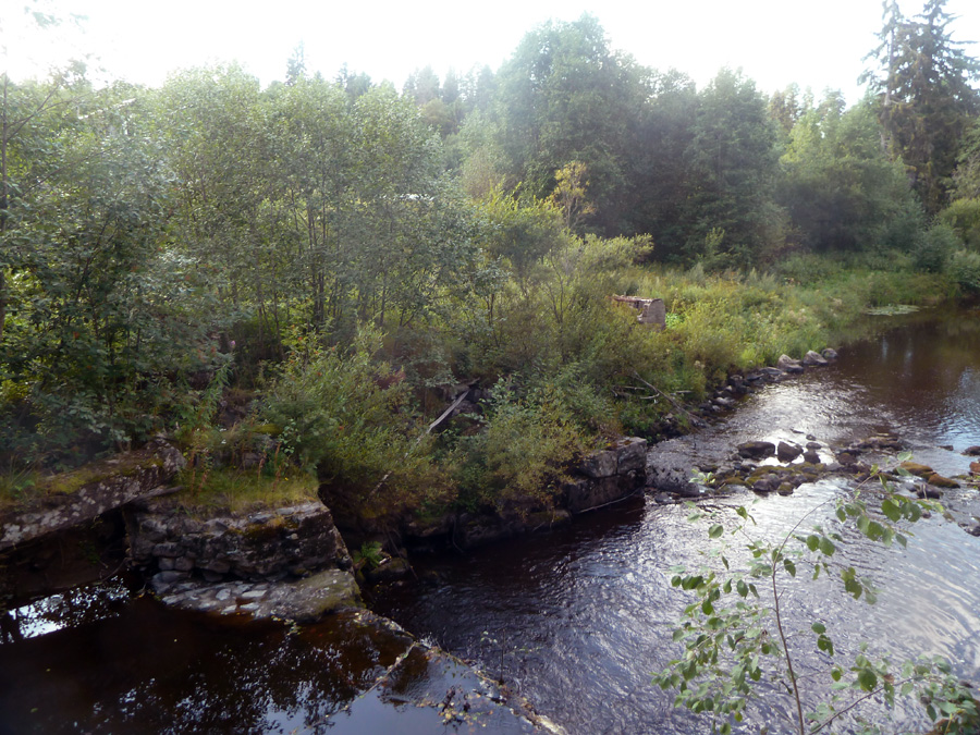 P1310169.jpg