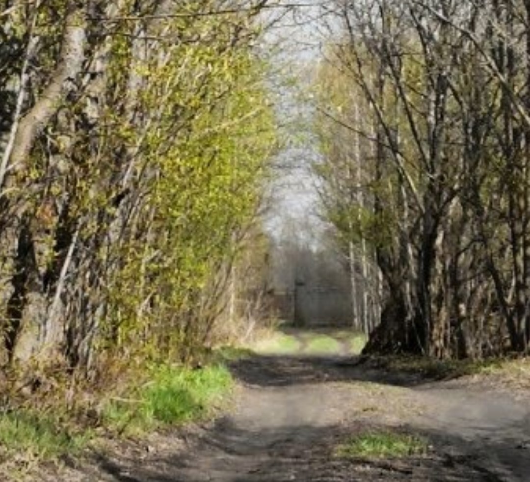 vrata maj 2014.jpg