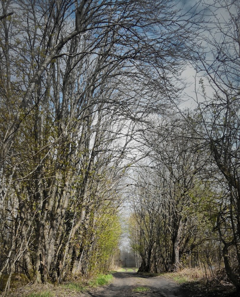 IMG_20140509_160714-1.jpg