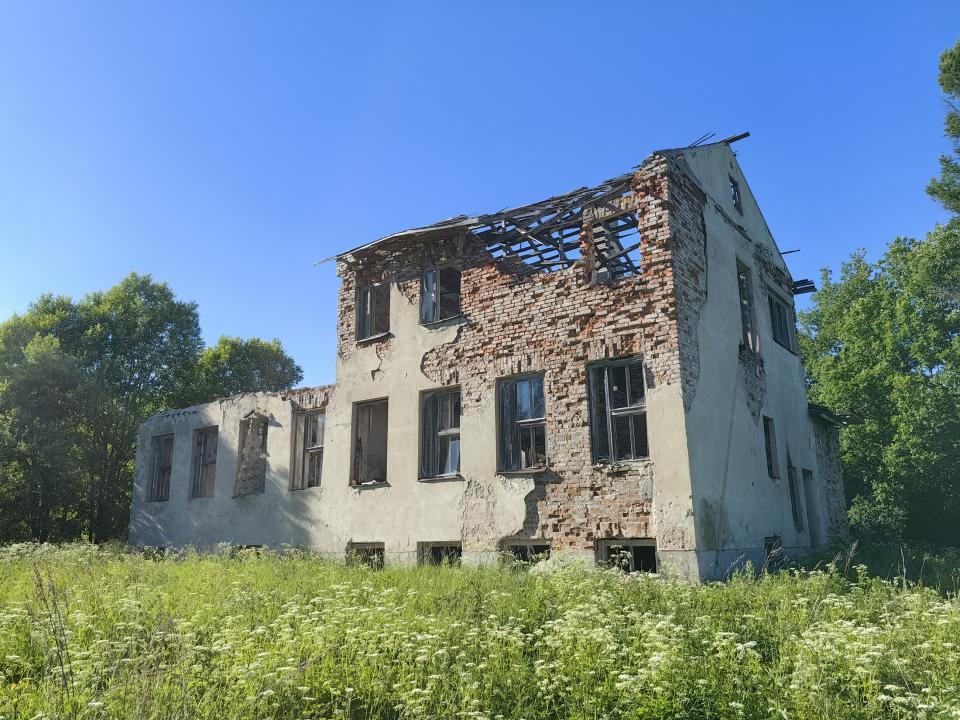 pilppula-kk.jpg