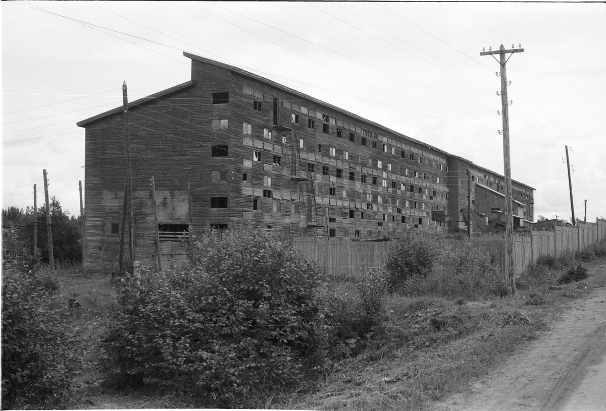 sainio-tiil-1.jpg