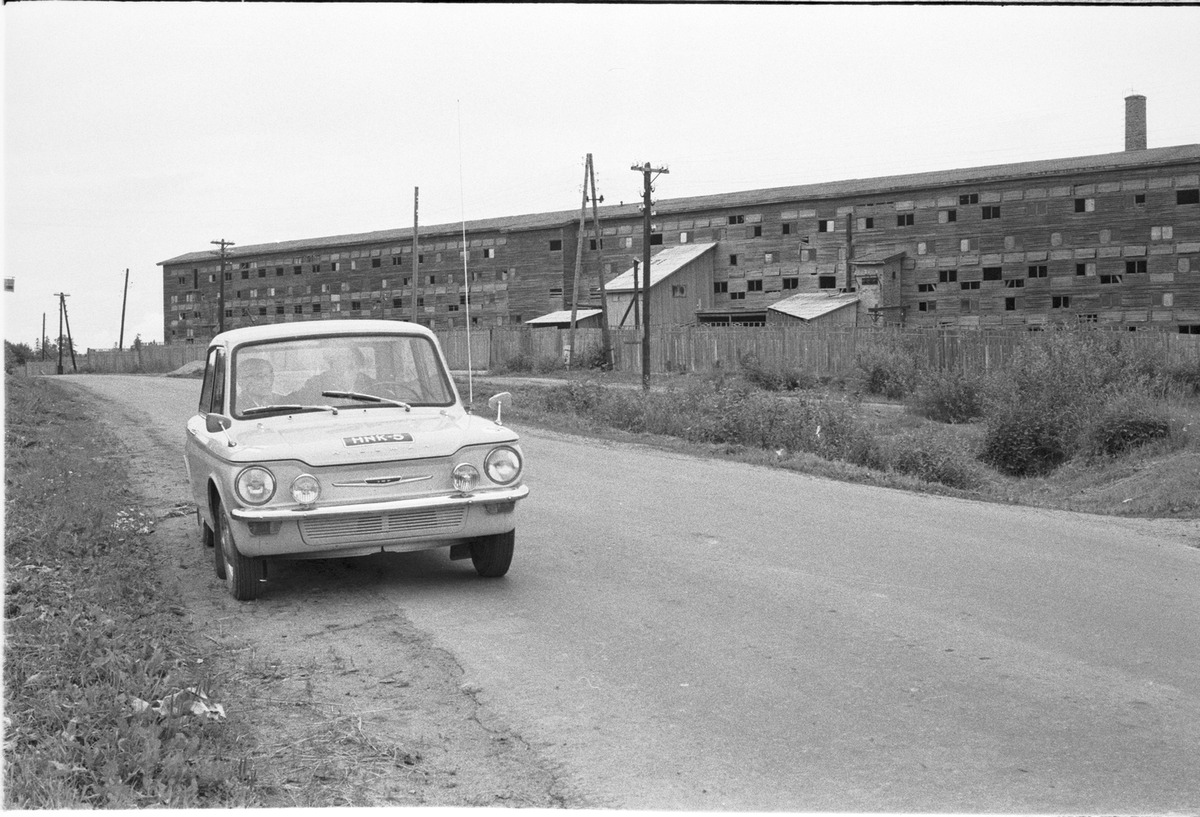sainio-tiil-3.jpg