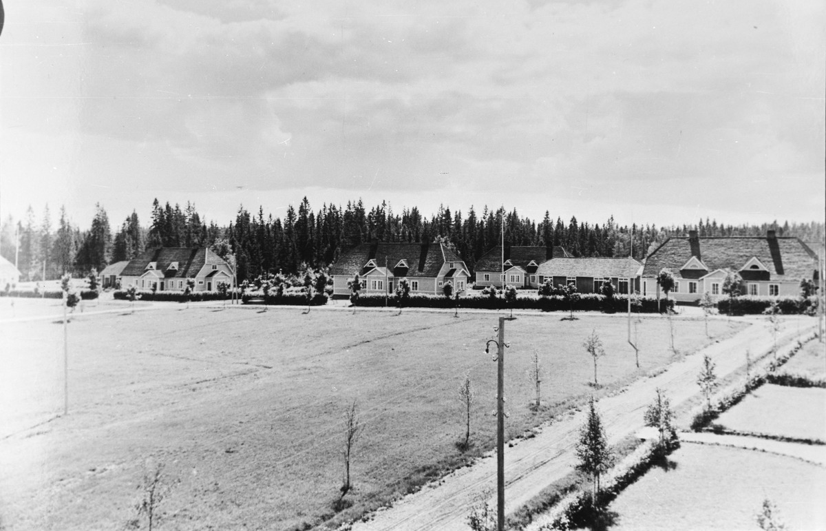 Перо гвоздевой з-д Феррария дома сотрудников 1930е.jpg
