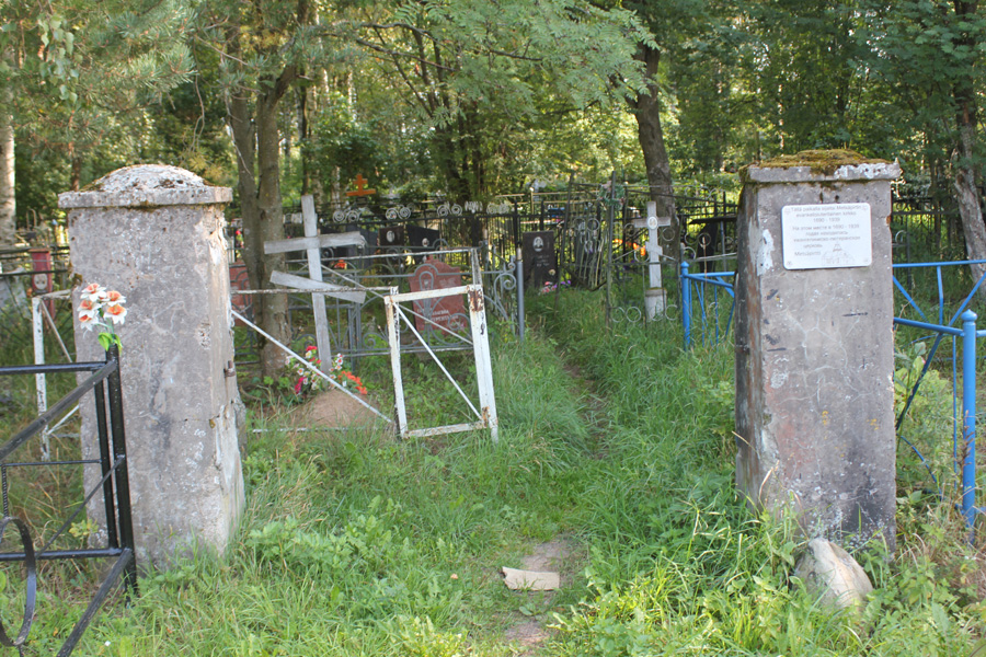 metsapirtti-7.jpg