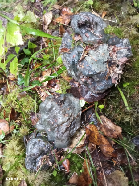 Resizer_17593460123125.jpeg