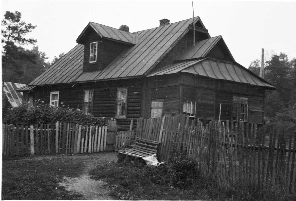 antrea-lankinen-2.jpg