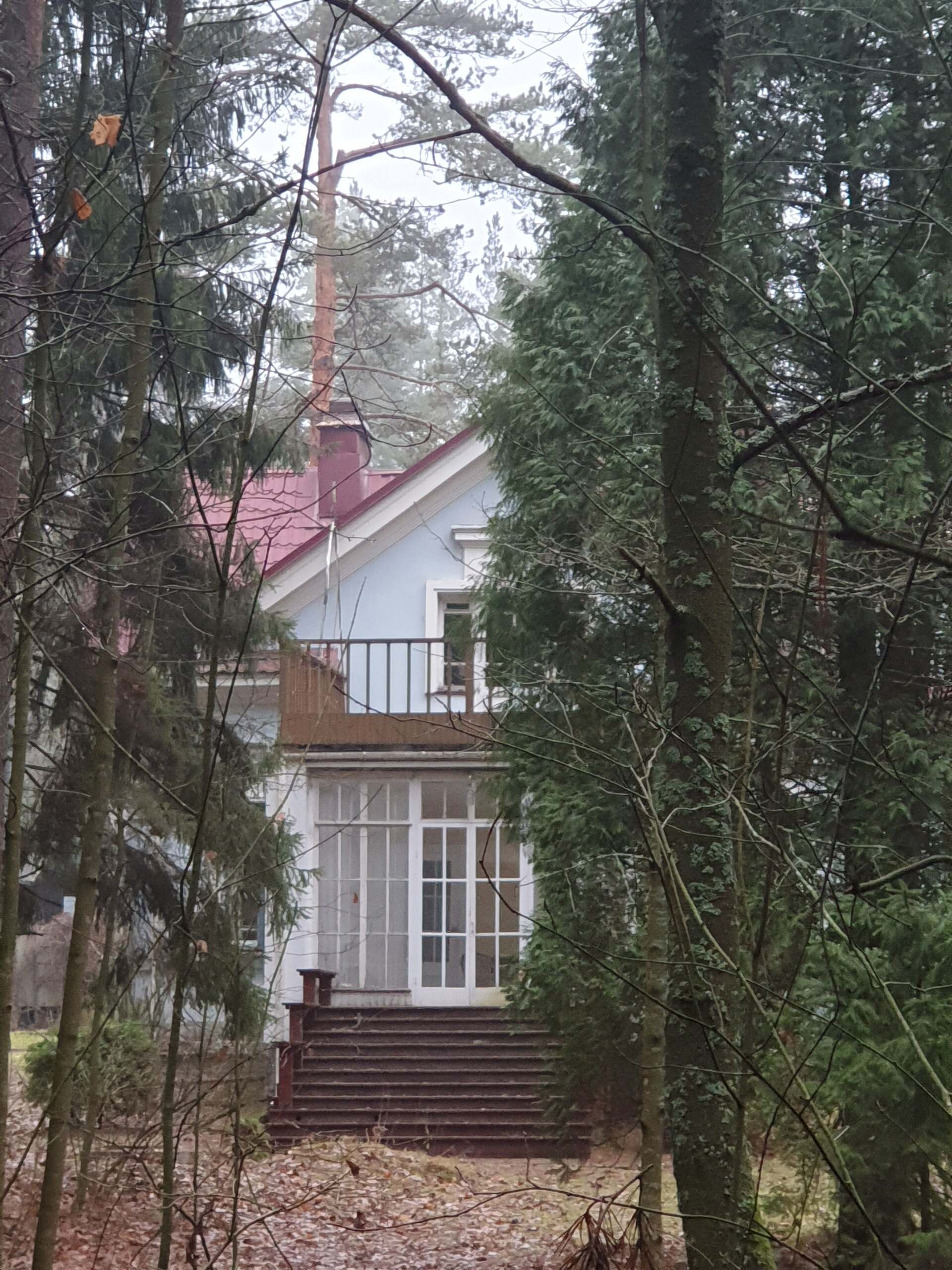 photo_2025-12-17_17-01-31 (1).jpg