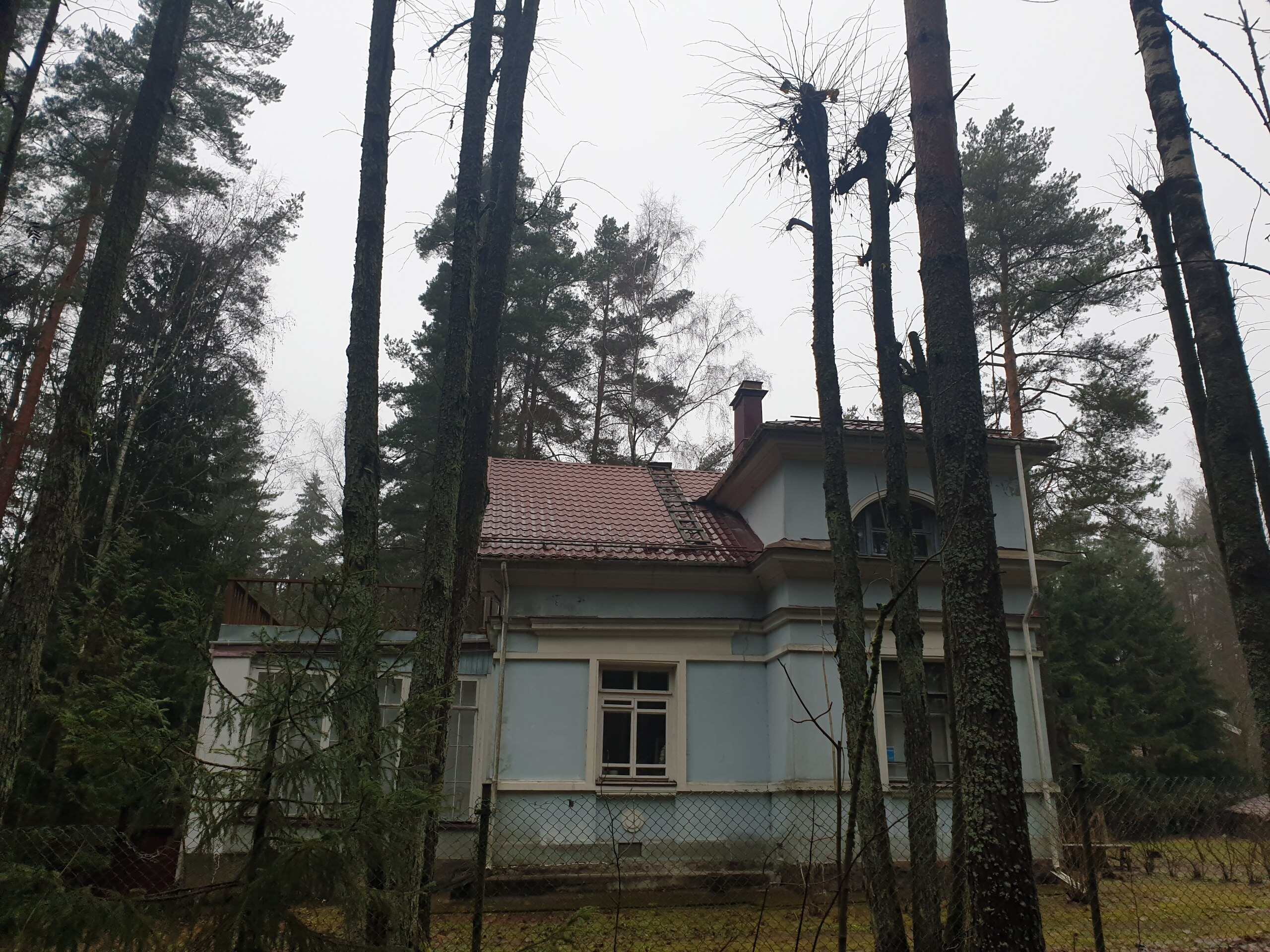 photo_2025-12-17_17-01-25 (1).jpg