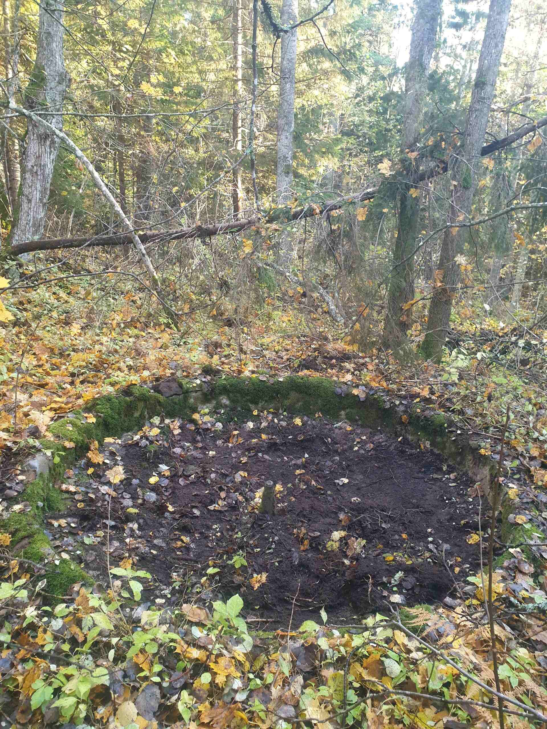 photo_2025-12-17_22-30-51 (1).jpg