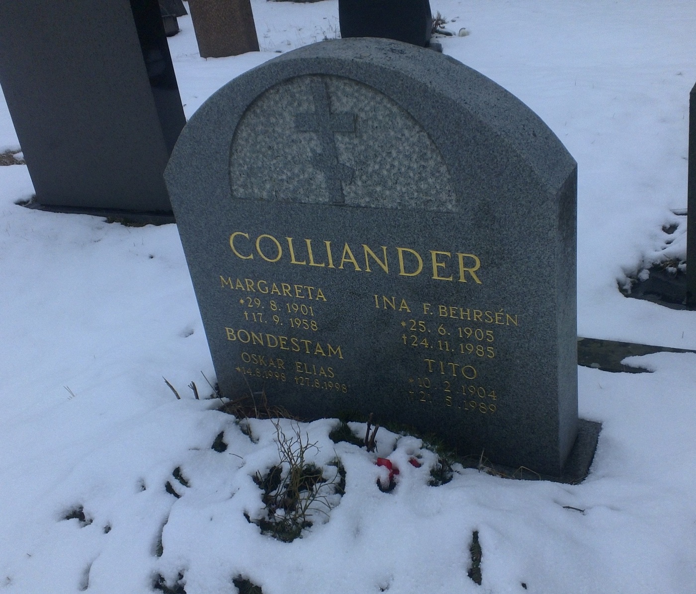 могила семьи Коллиандер -.jpg