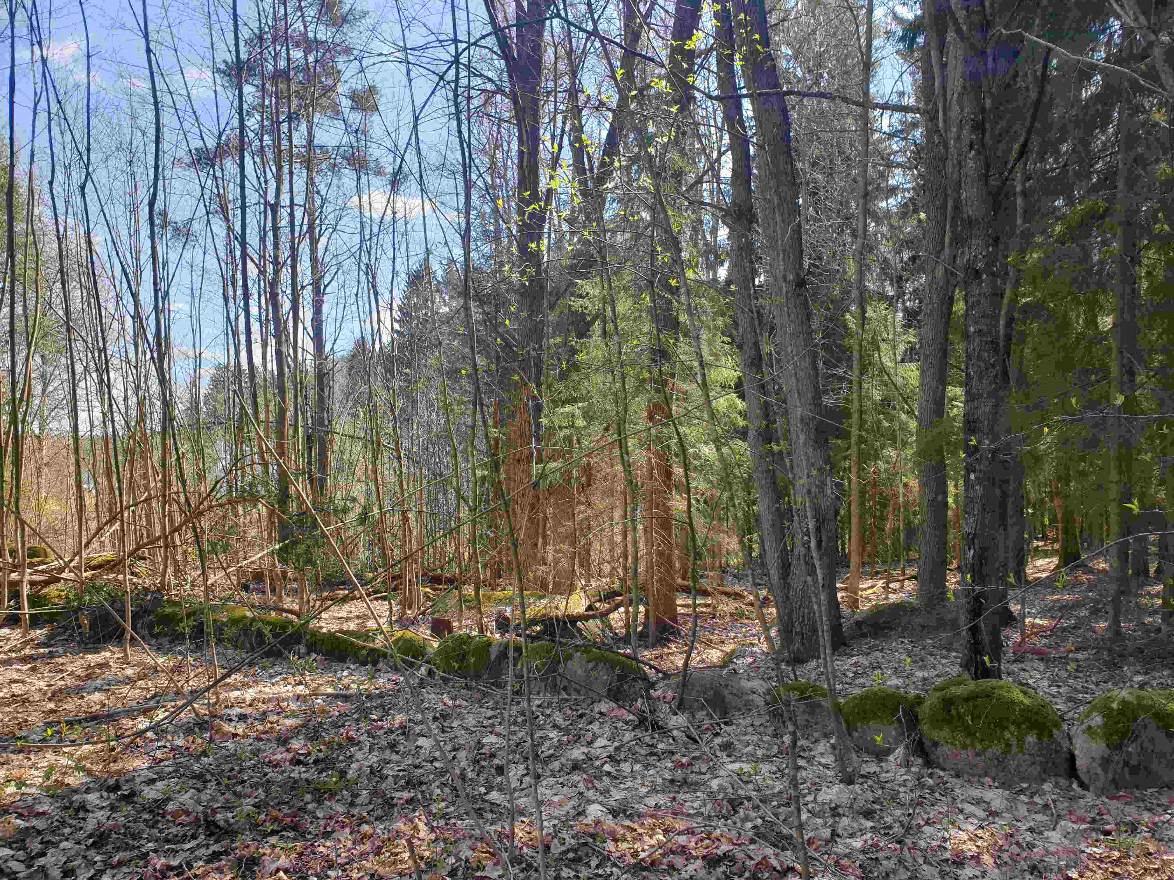 27.04.2025_12.48.19 (2).jpg