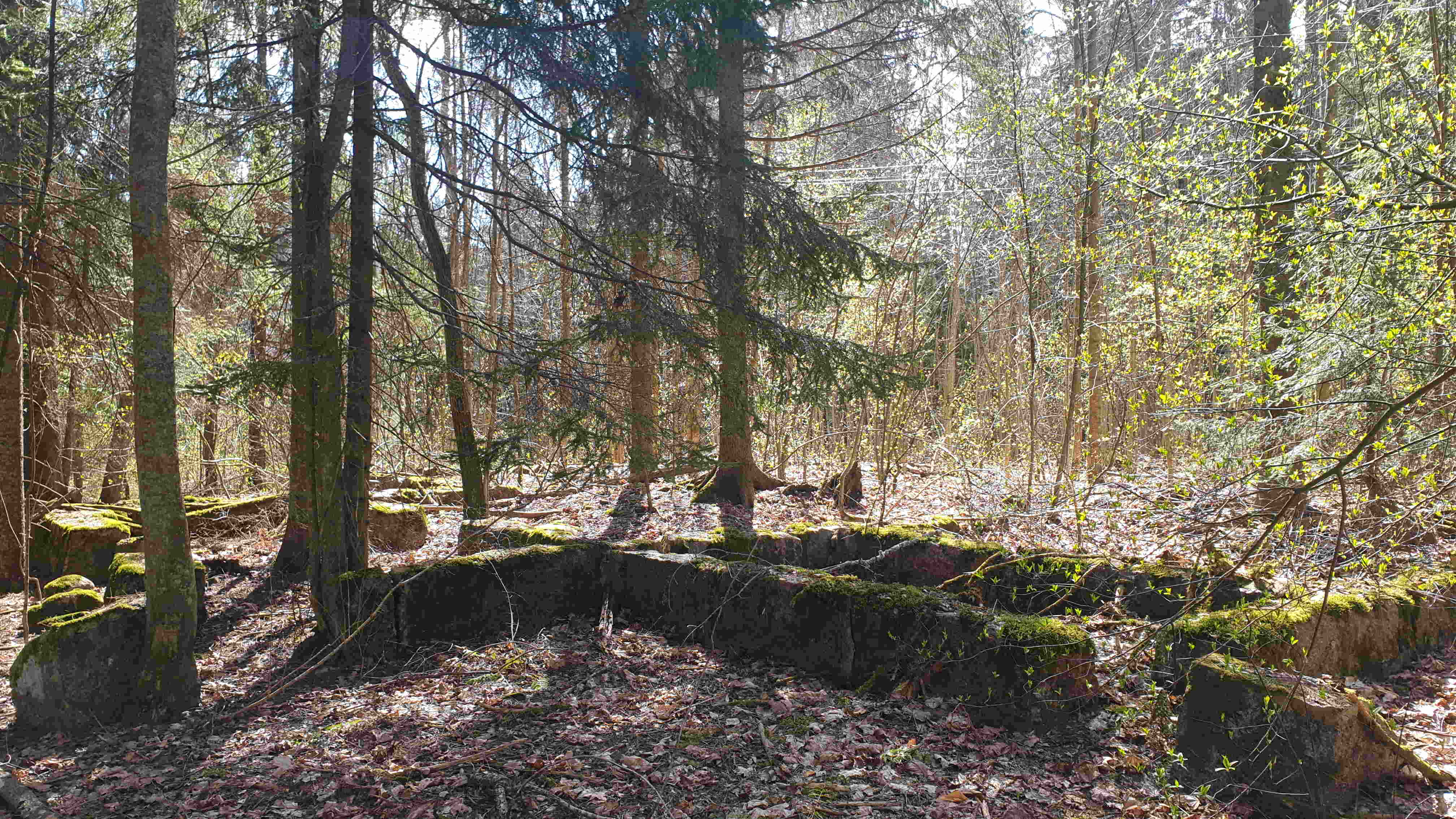 27.04.2025_12.54.43 (1).jpg