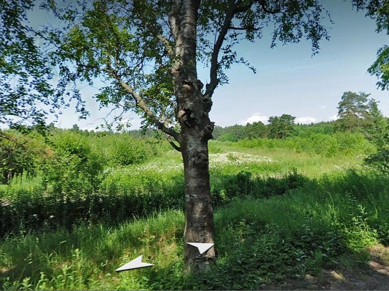 уч.Гохфельда 2011-.jpg