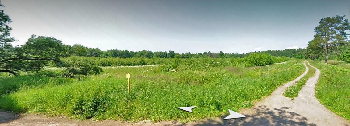 уч.Гохфельда 2011.jpg