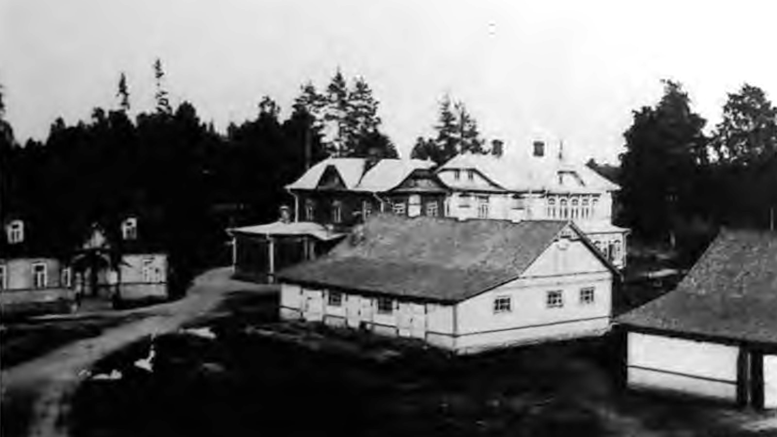 Китула 1 дача Форостовского 1925.jpg