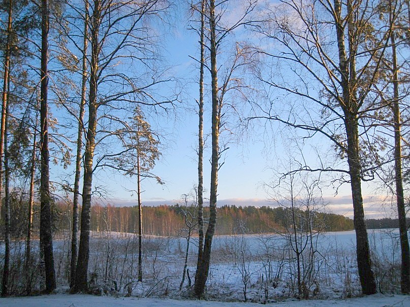 В Ялкалу-6-Щучье оз.jpg