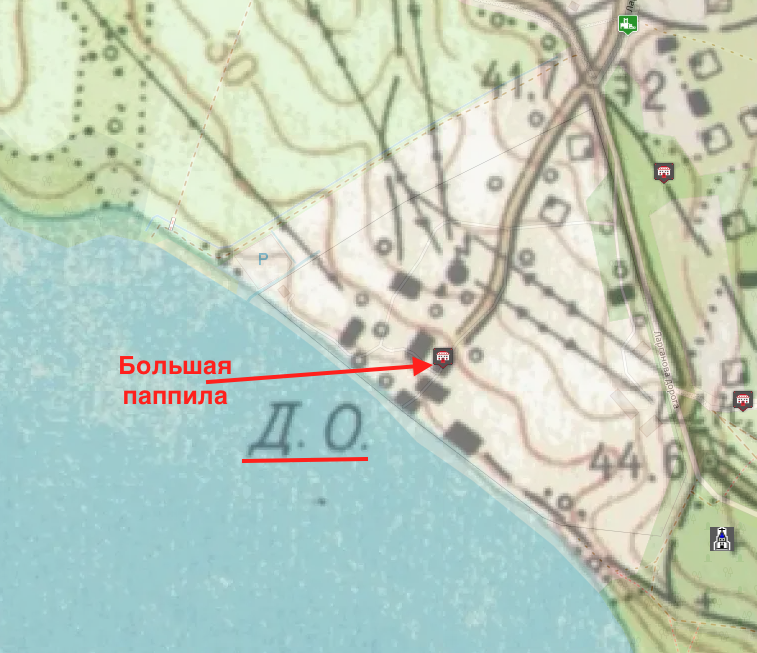 Снимок экрана — 2026-03-02 в 19.08.44.png