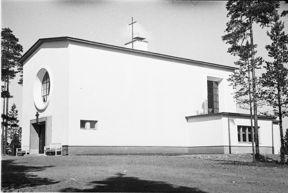 viipuri-tammisto-1.jpg
