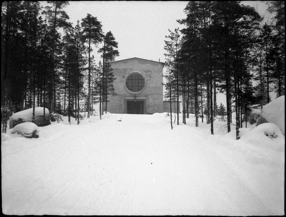 viipuri-tammisto-2.jpg