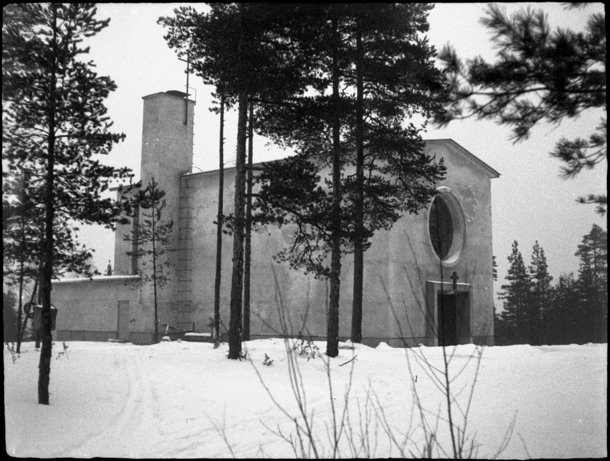 viipuri-tammisto-3.jpg