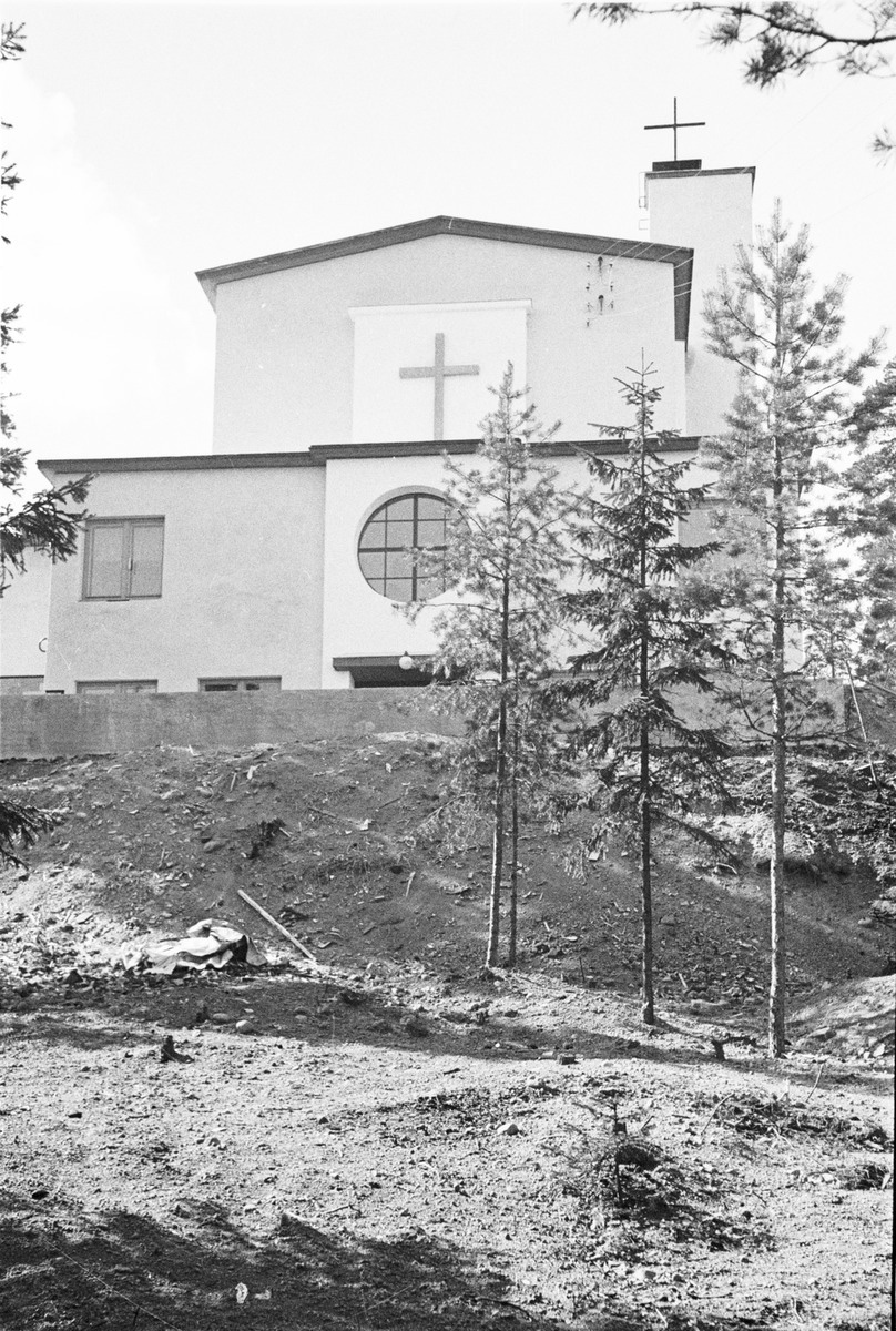 viipuri-tammisto-4.jpg