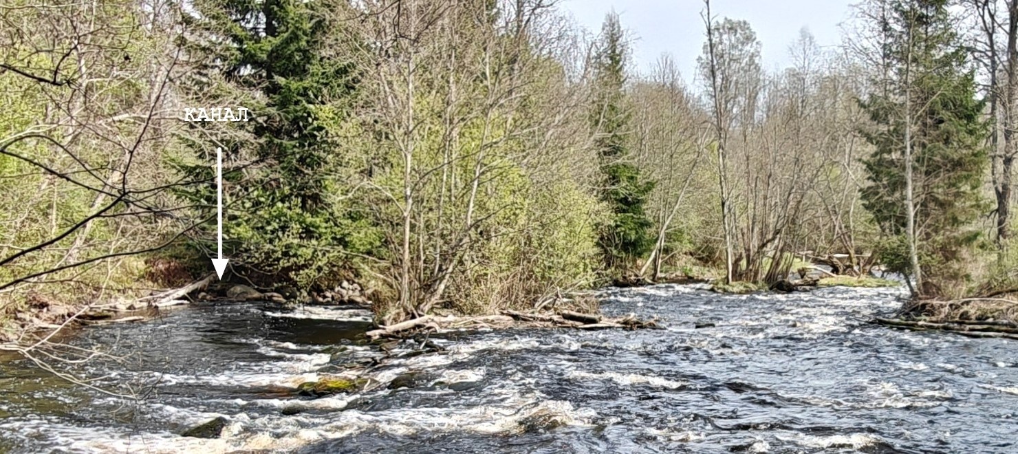 IMG20260507142736.jpg