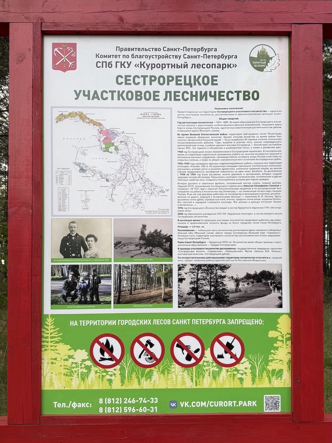 Лесничество.JPG