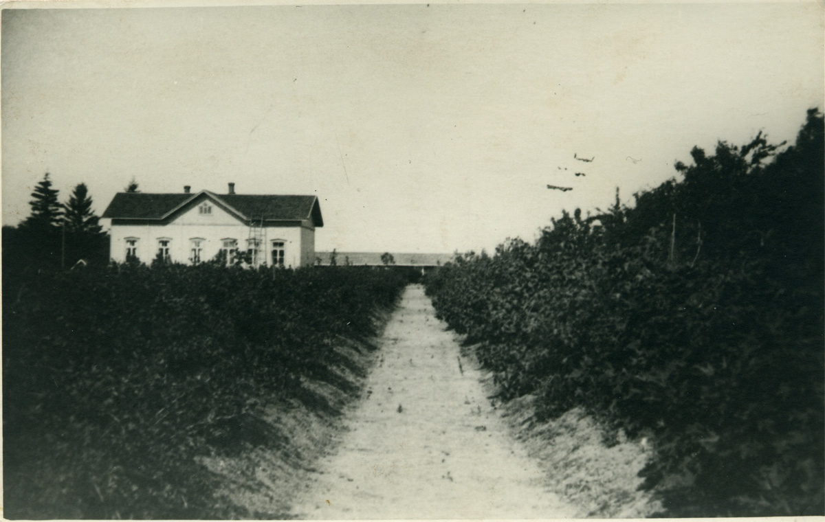 rattola-kk-1.jpg
