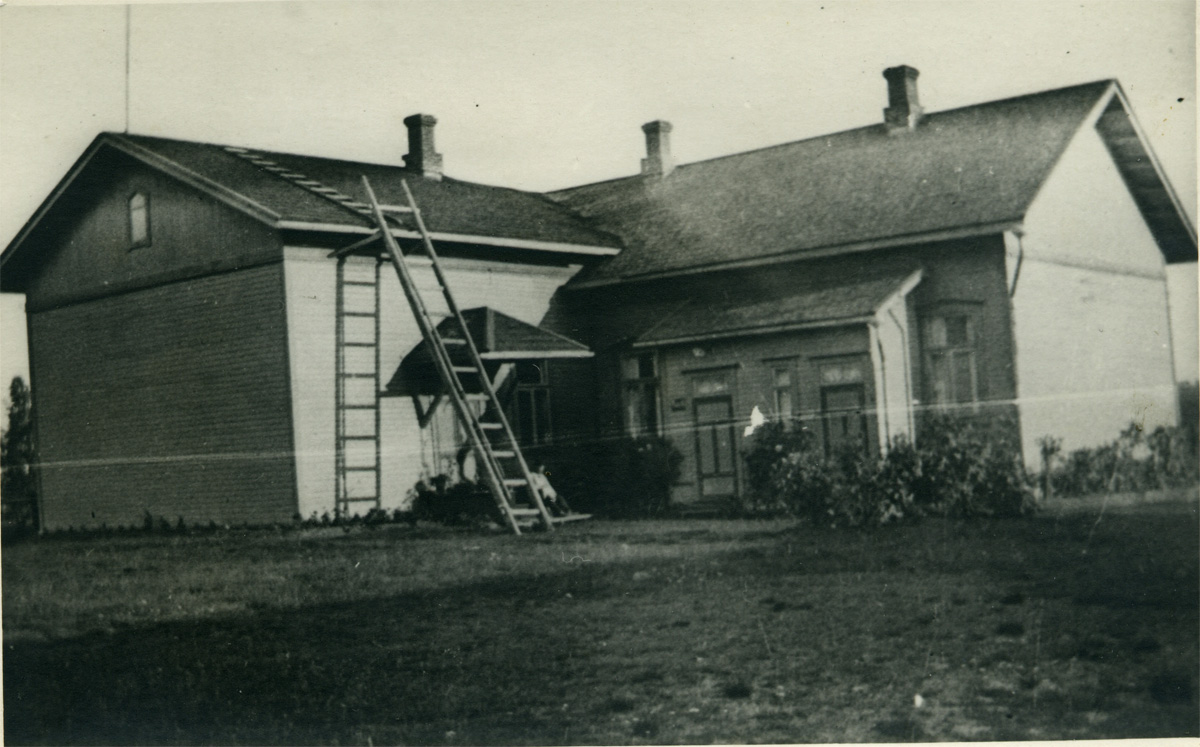 rattola-kk-2.jpg