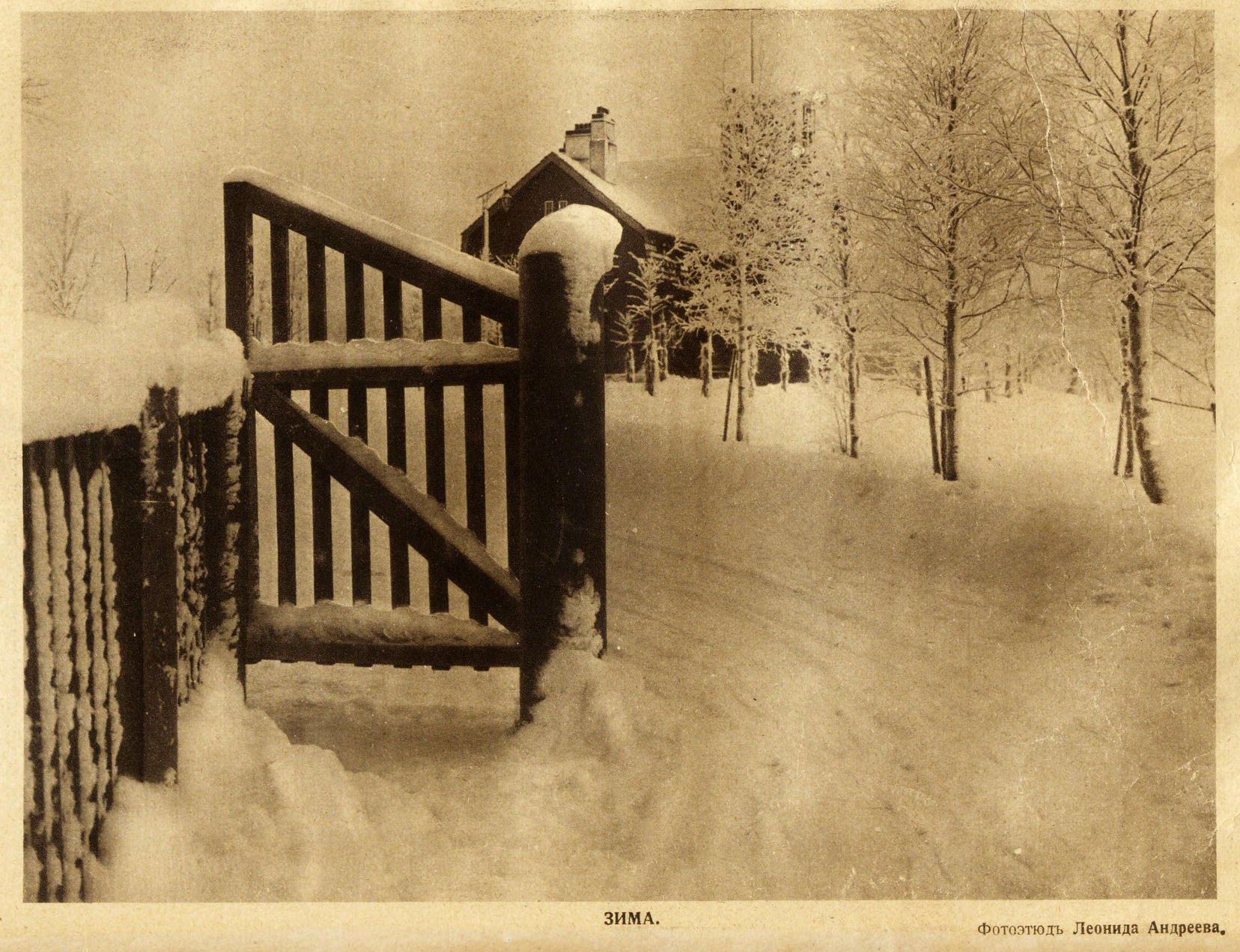 Зима. Фотоэтюд Леонида Андреева. СР 1914-5.jpg