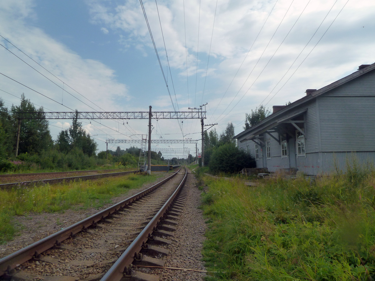 P1310856.jpg